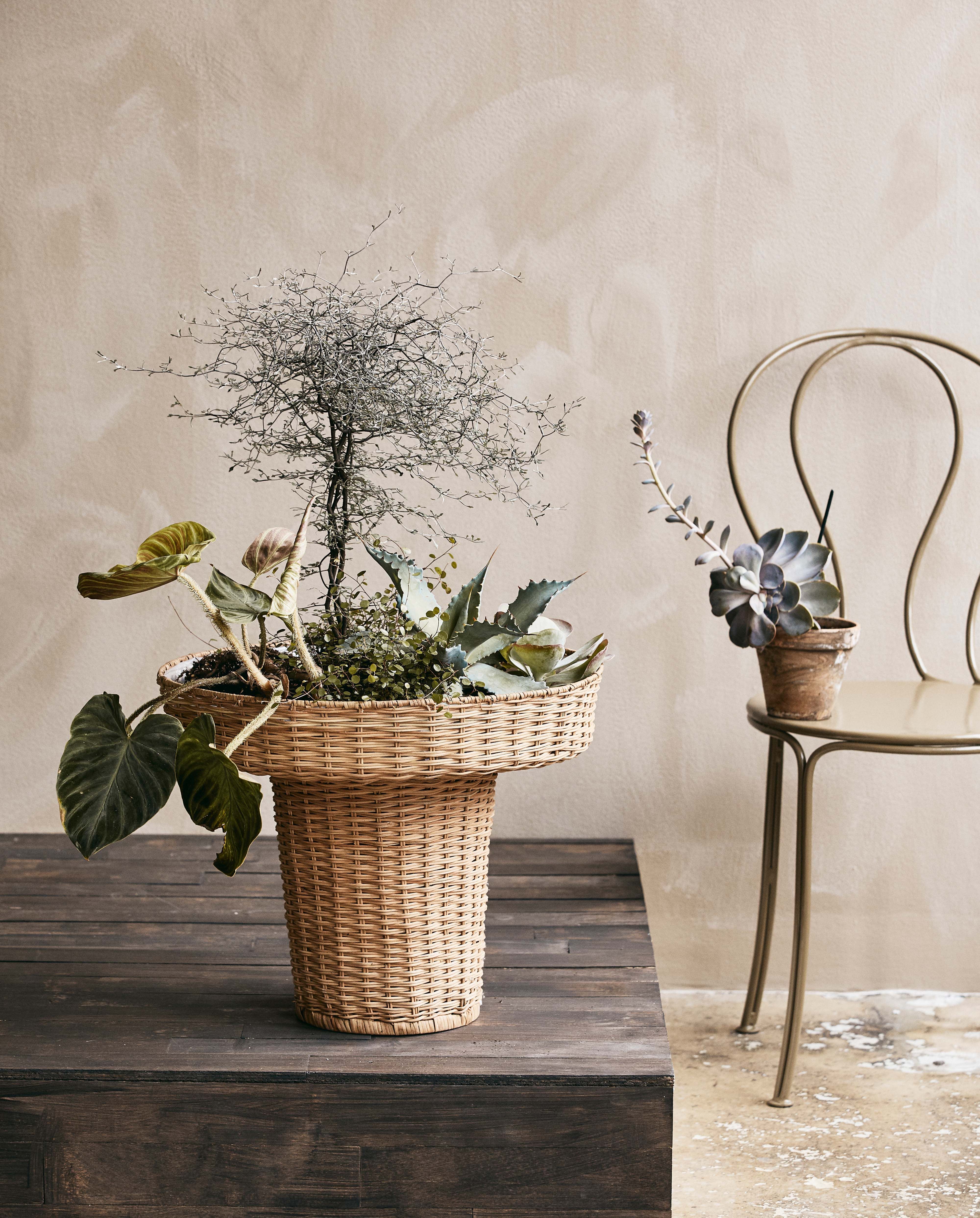 Blumentopf "LAURIE" Ratten Natur