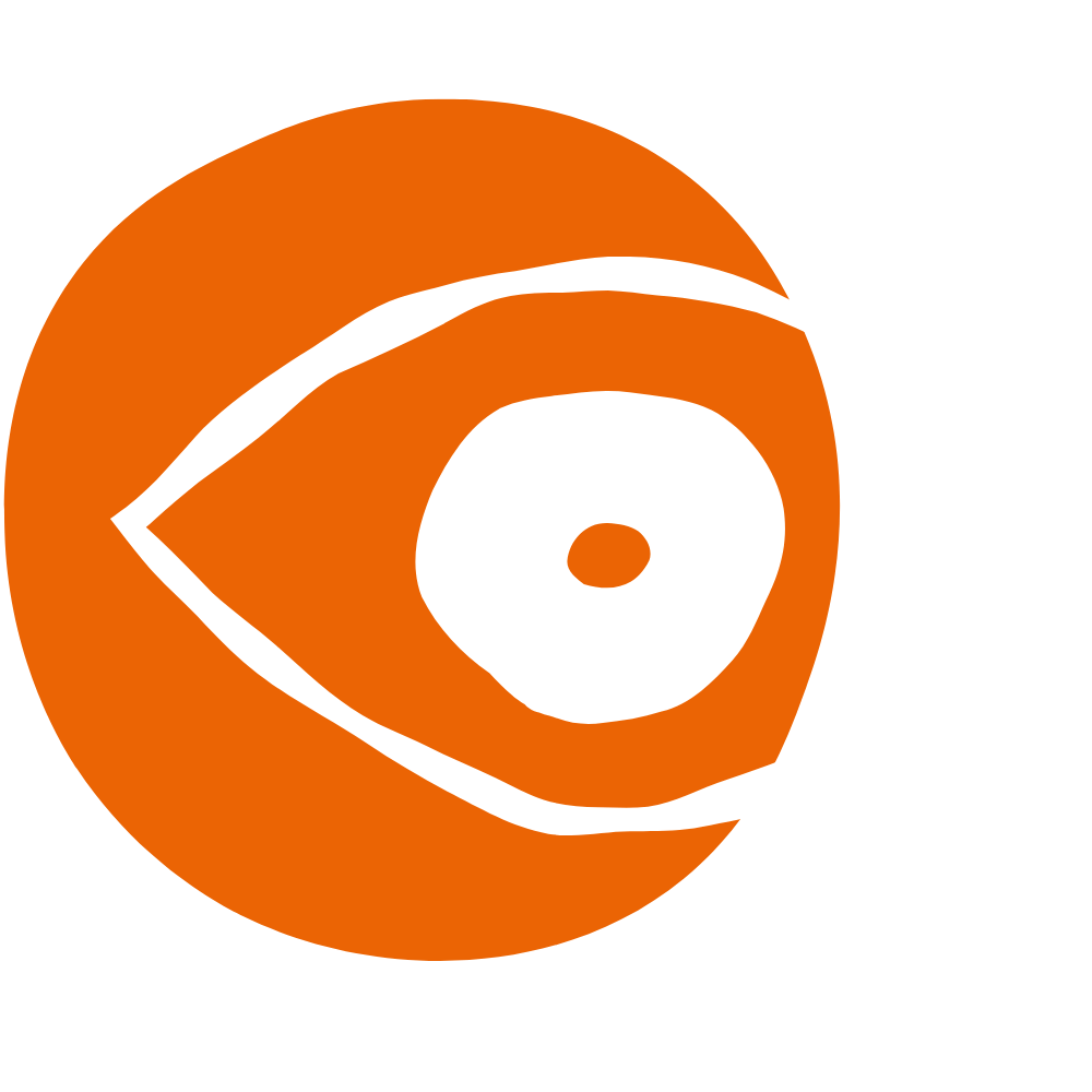 Icon Auge