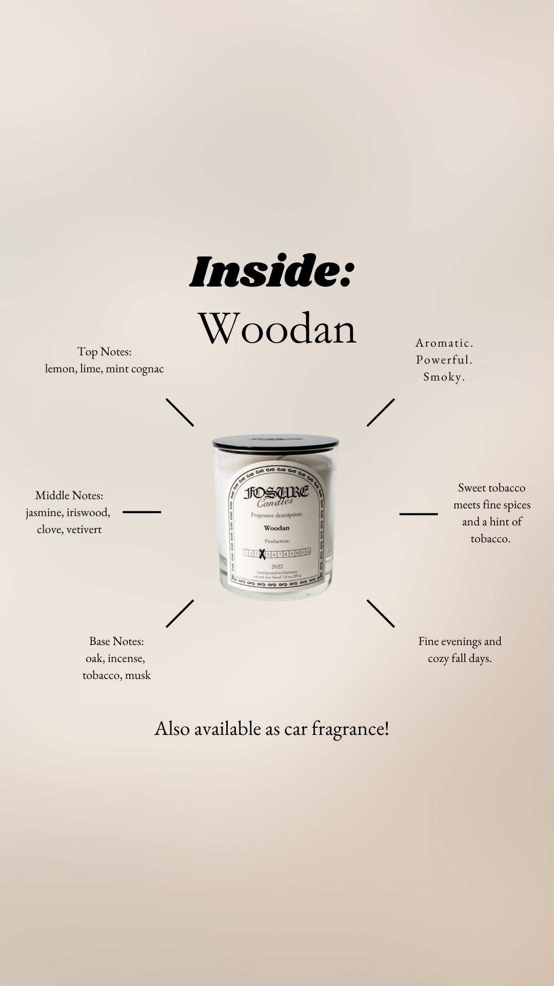Scented candle "Woodan"