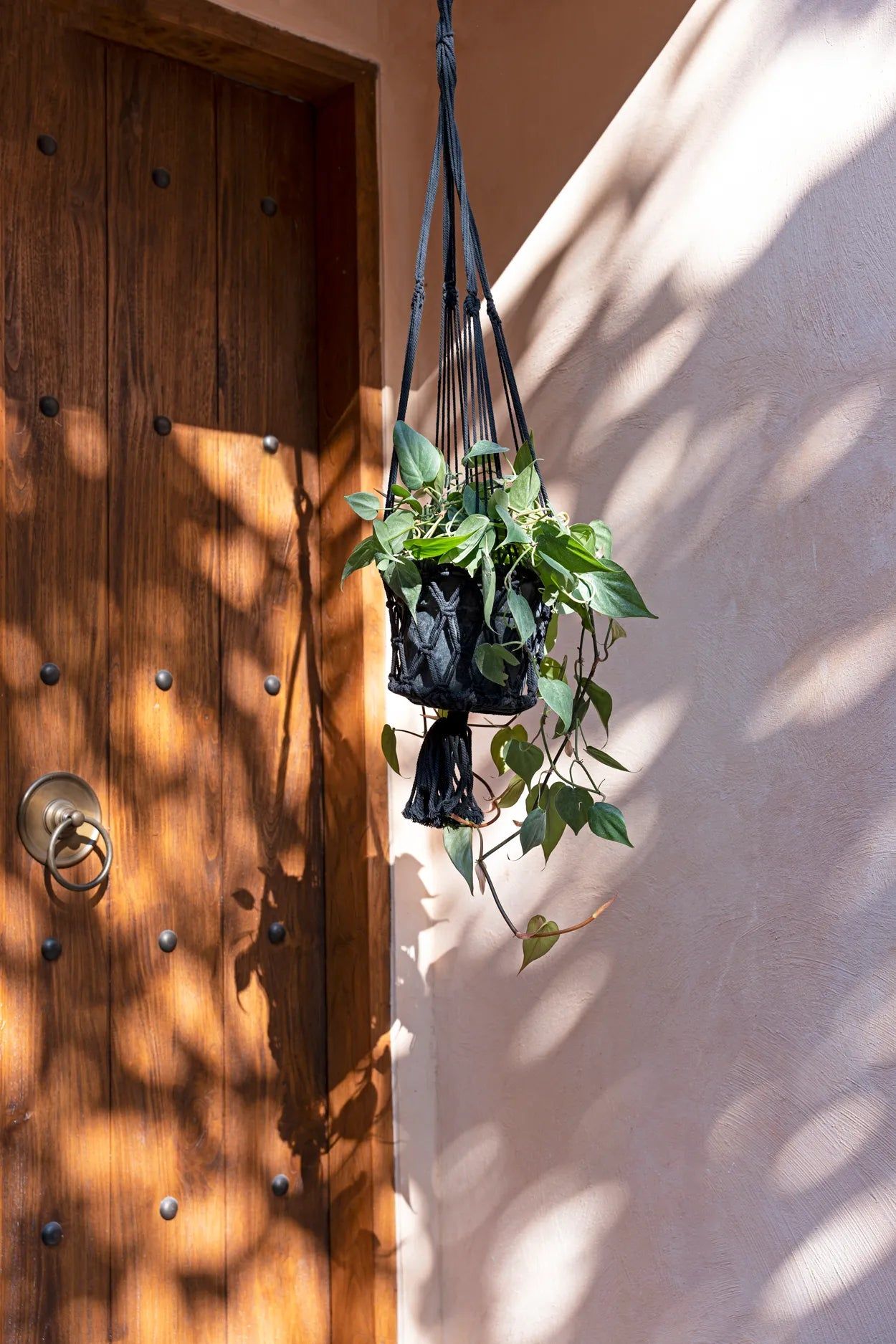 Plant basket "Macrame" Black L
