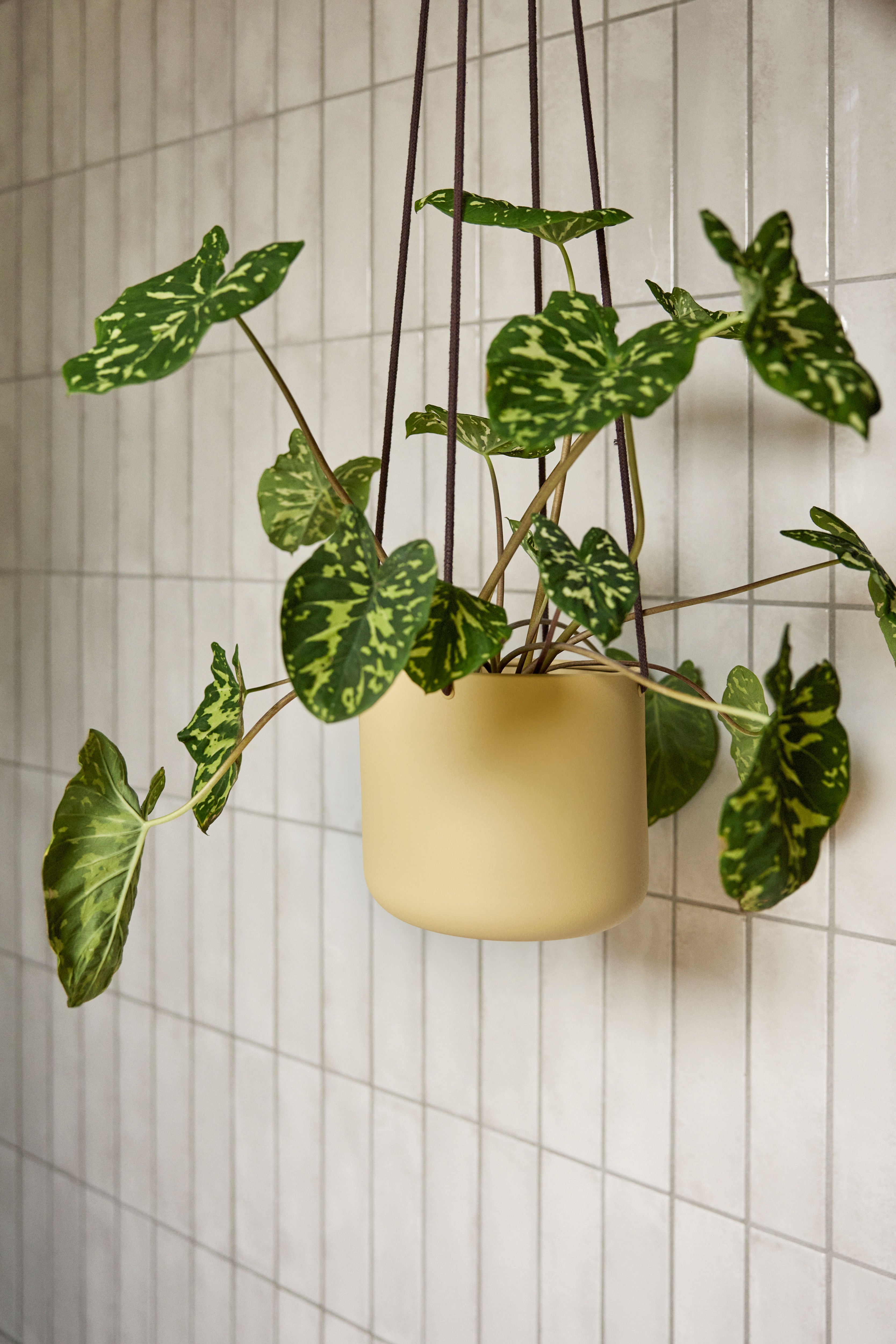 Hängetöpfe "Bloom" Groß Khaki 3er Set
