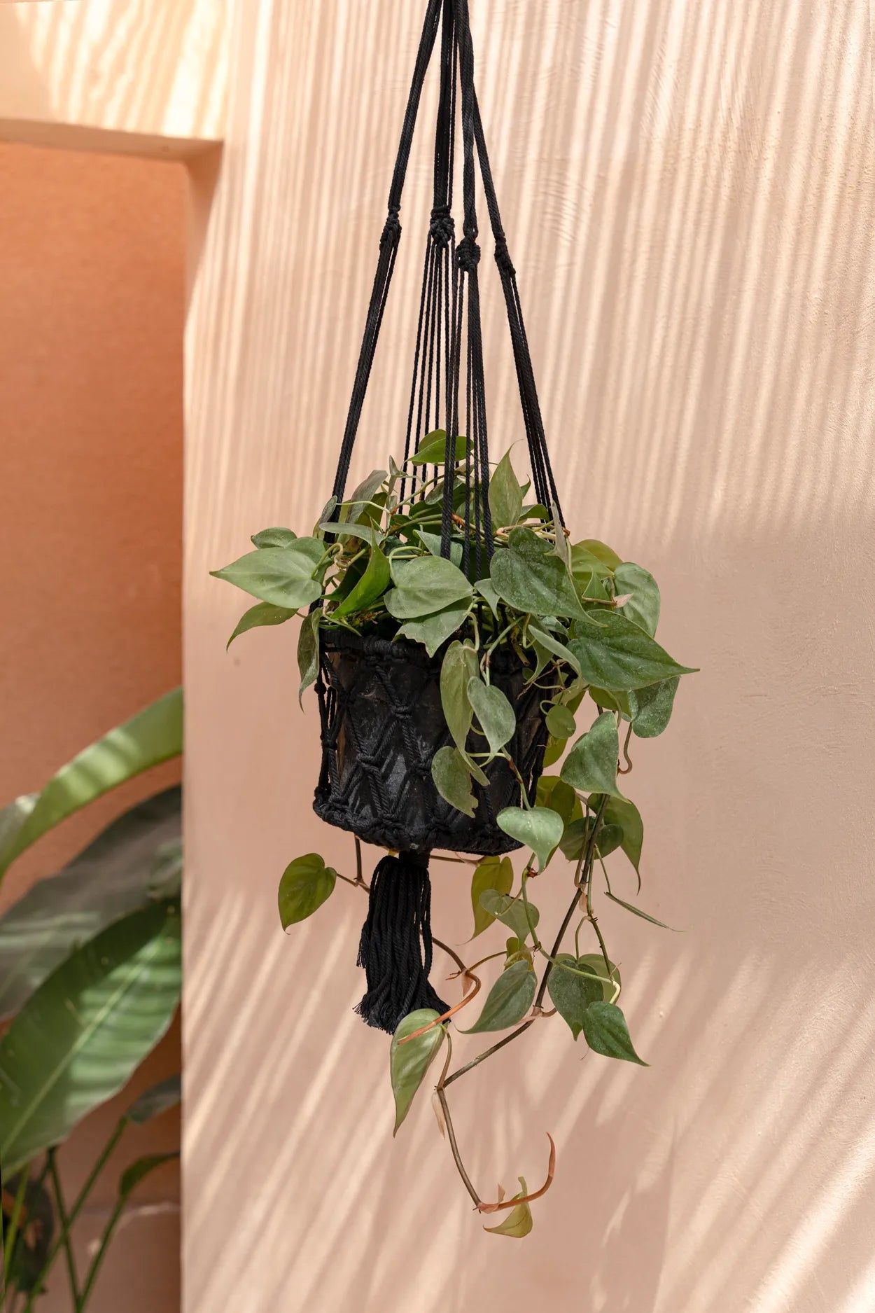 Plant basket "Macrame" Black M