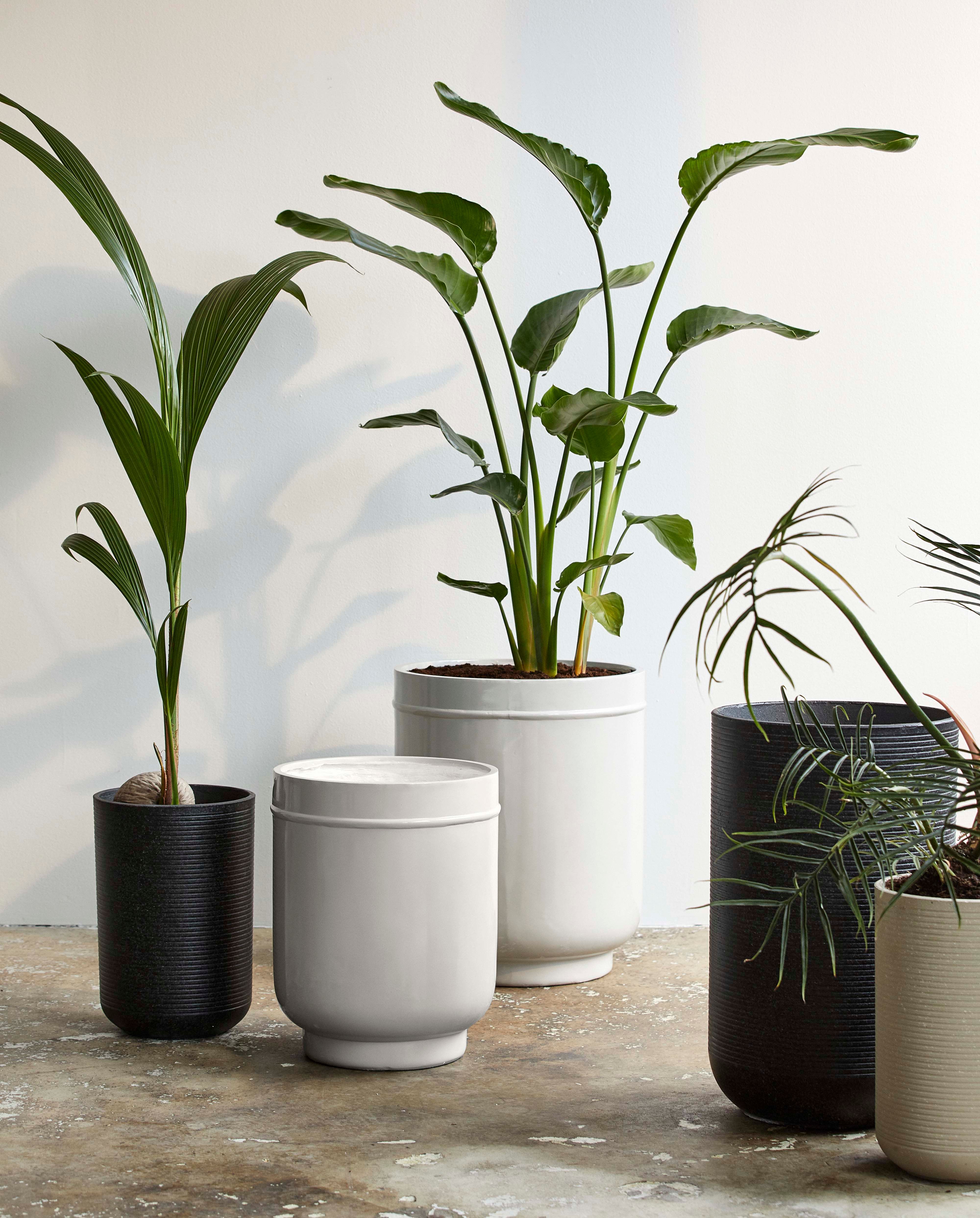 Blumentopf "GRANITO" creme