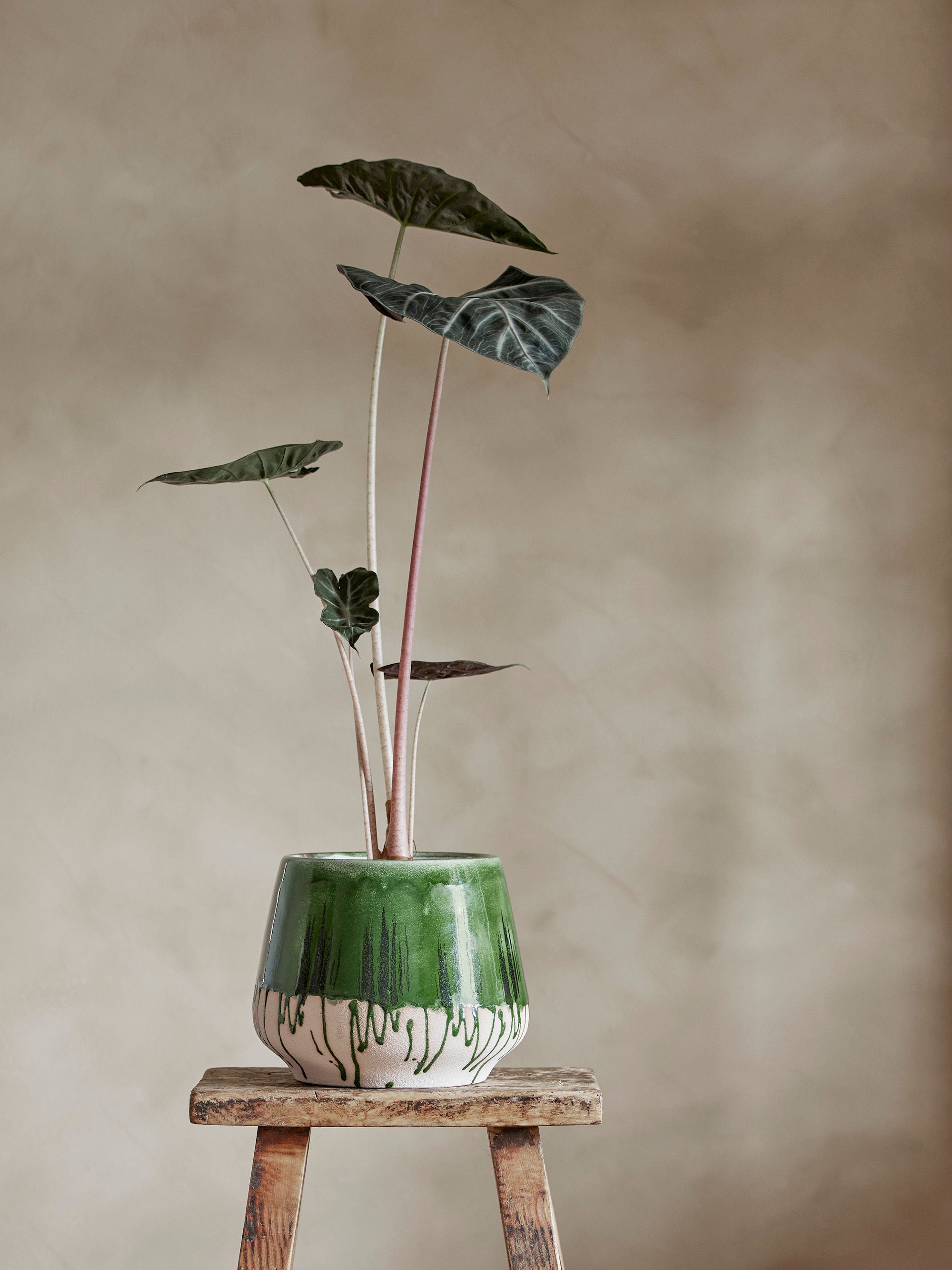 Blumentopf "Moez" Grün Steingut
